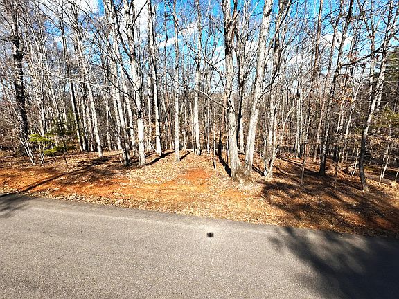 3rd image of LOT 19 Gap Bridge Rd