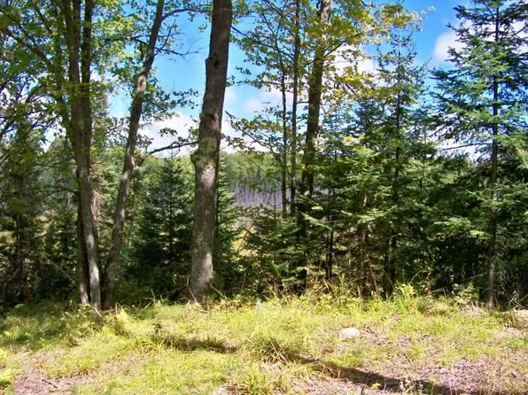 8 Eagle Ridge Dr, Presque Isle, WI 54557