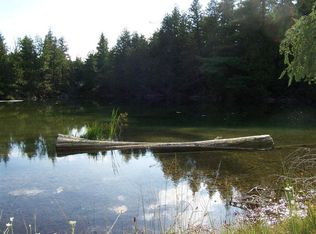 W2267 Brevort Lake Rd, Moran, MI 49760