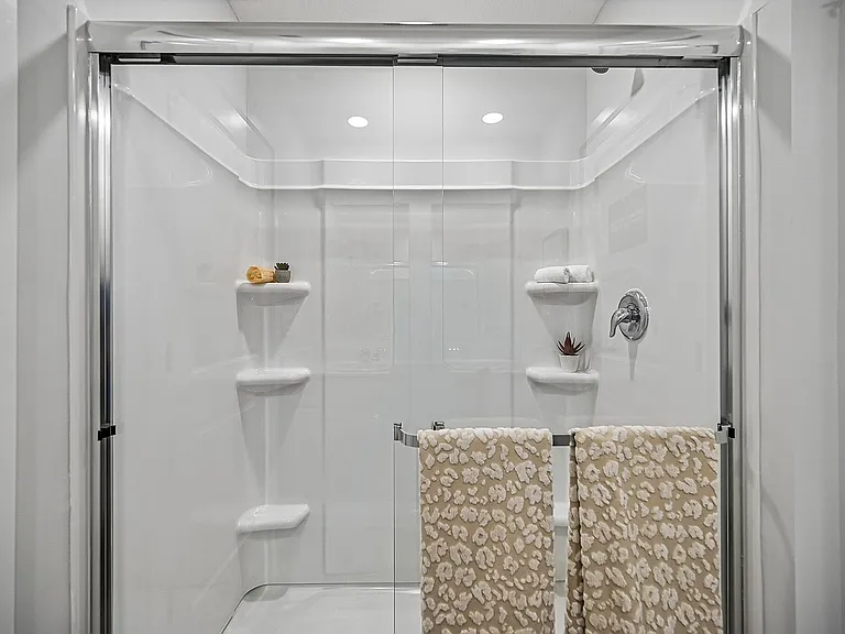 Tallmadge Primary Bathroom Shower