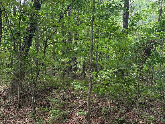 4th image of 0 W Woodson Lateral Rd