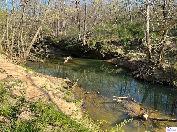 940 Kingswood Orchard Rd, Harned, KY 40144