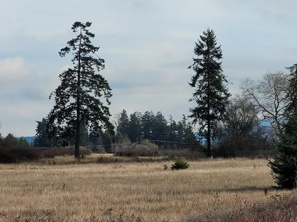 41 Lofgrin Rd, Sequim, WA 98382