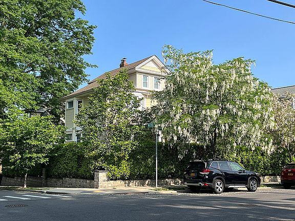 Flowering trees along curb