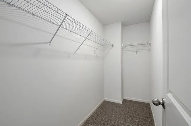 3836 Currant Ln — Photo 13