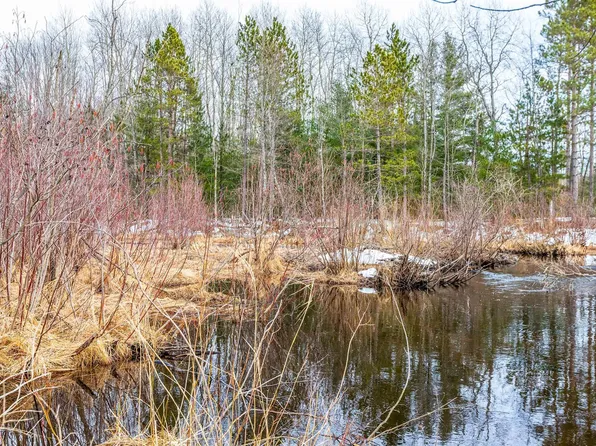 0 Makinen Rd, Kaleva, MI 49645