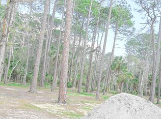 NE 2nd St, Steinhatchee, FL 32359