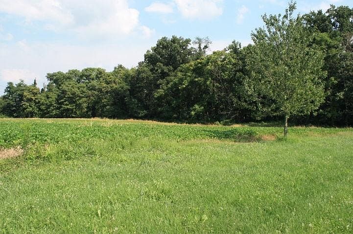 2nd image of 103 Monument Dr