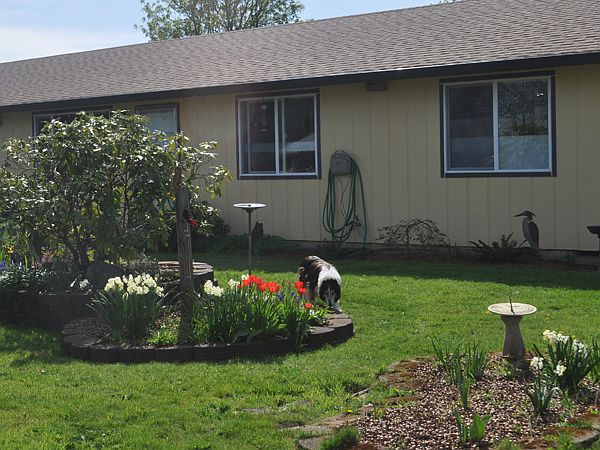 1st image of 130 Glacier St