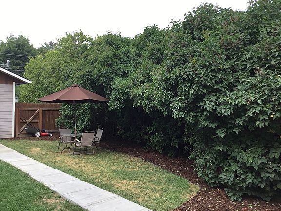 FencedBackYard