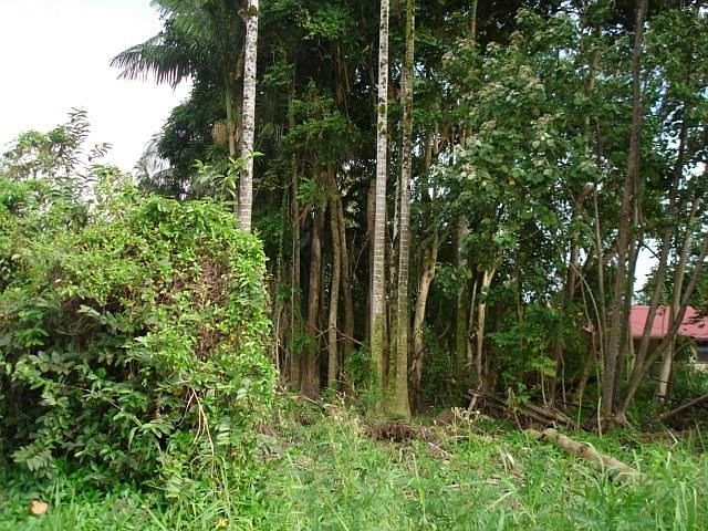 2nd image of LOT 71 55