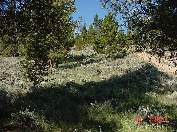 3rd image of 198 Lodge Pole Dr