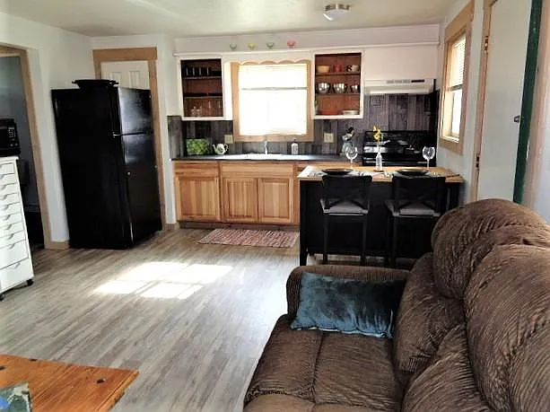 1 bed, 480 sqft, $1,450 — Photo 3