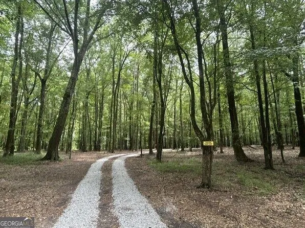 338 Adams Rd Tract 1, Union Pt, GA 30669