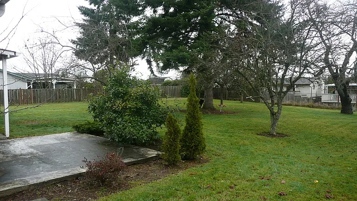 3 bed, 1.5 bath, 1200 sqft, $2,350 — Photo 2