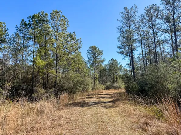 0 Cable Bridge Rd, Pass Christian, MS 39571