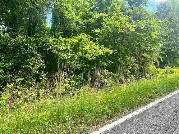 5th image of 120 Spivey Creek Rd