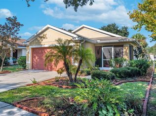 11307 Palm Island Ave, Riverview, FL 33569