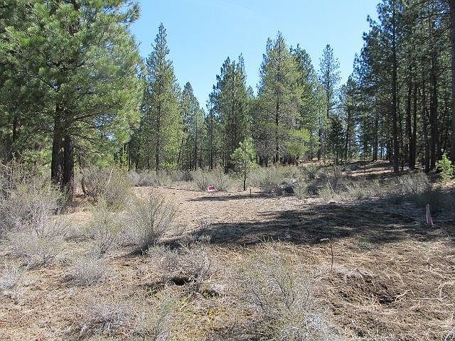 2nd image of 0 Corbell Dr