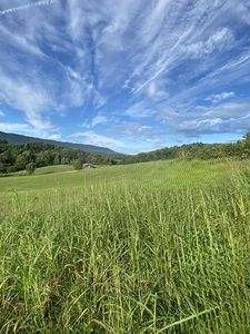 Elk Garden Rd, Lebanon, VA, 24266