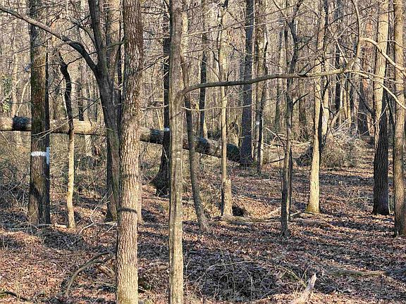 3rd image of 0 Highway 336 E