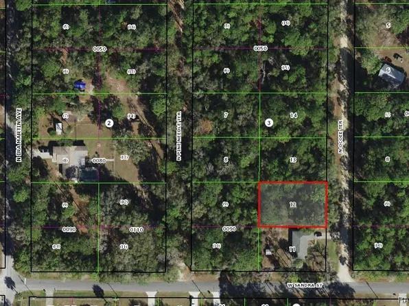 8302 N Ocoee Ter, Crystal River, FL 34428