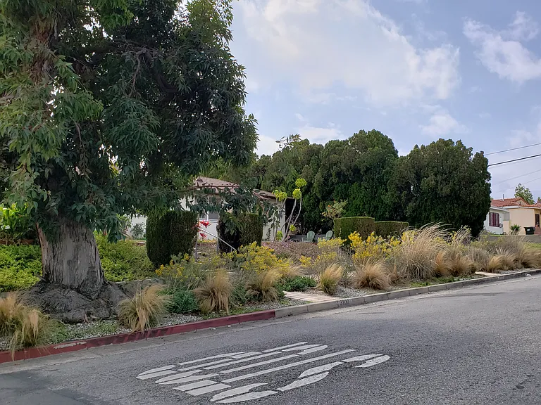 Corner lot: 3100 Norwich Ave.