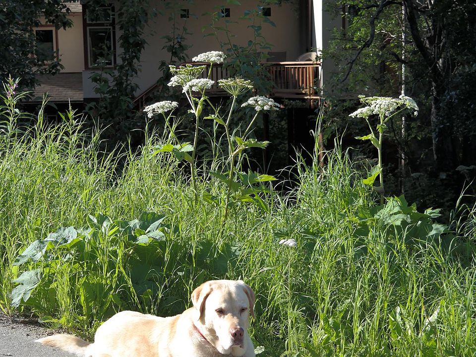 Eagle Peak Guesthouse with Studio Apt.