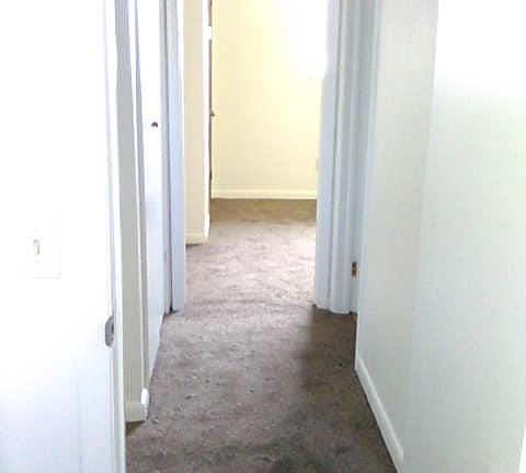 4th image of 837 Laurel St #837-845-86