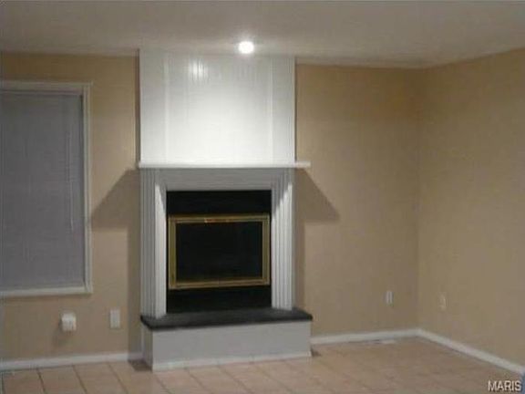 Fireplace/Skylight