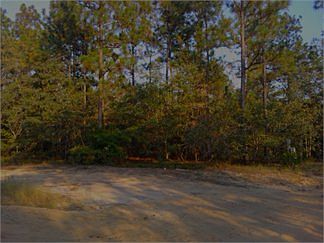 2nd image of 920 Rish Dr