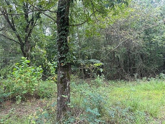 3rd image of 274 Galena Ridge Rd Lot B10