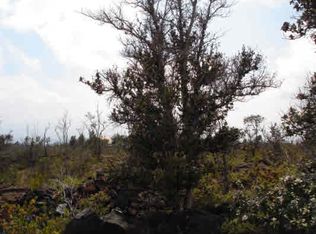 Palm Pkwy LOT 4, Ocean View, HI 96737