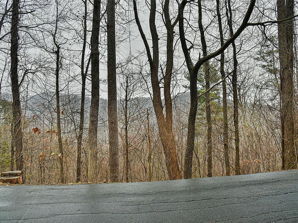 390 Vance Gap Rd 2, Asheville, NC 28804 MLS 4009088 Zillow