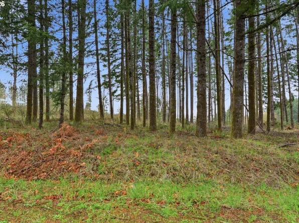 NW Pumpkin Ridge Rd, North Plains, OR 97133