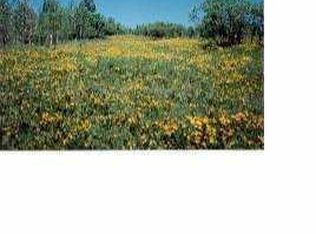 Porcupine Loop, Coalville, UT 84017