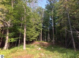 Birch Pointe Dr LOT B, Interlochen, MI 49643