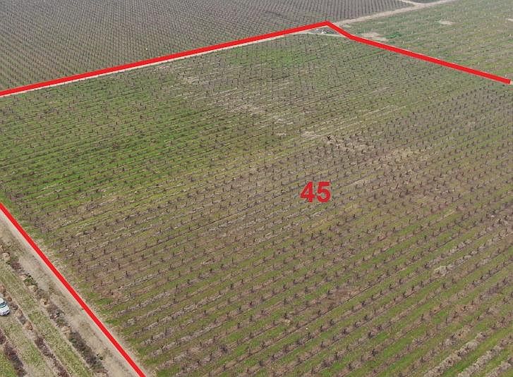 12851 N Alpine Rd, Lodi, CA 95240 Zillow