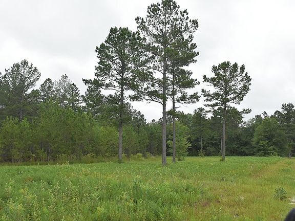 2nd image of 40 SE Cutters Gap