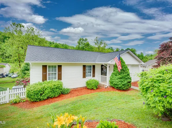 239 Mountain View Dr, Mt Carmel, TN 37645
