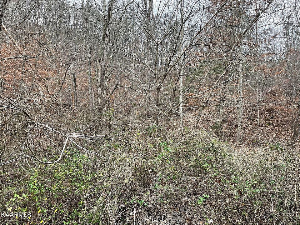 2nd image of 0 Joppa Mountain Rd