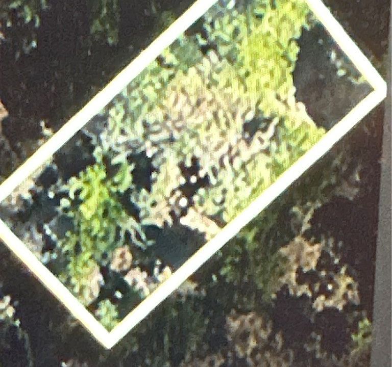 2nd image of 0 Canyon Dr Lot 14