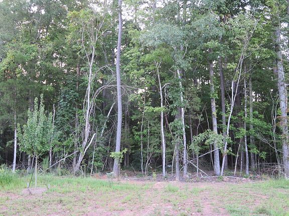 View from front door