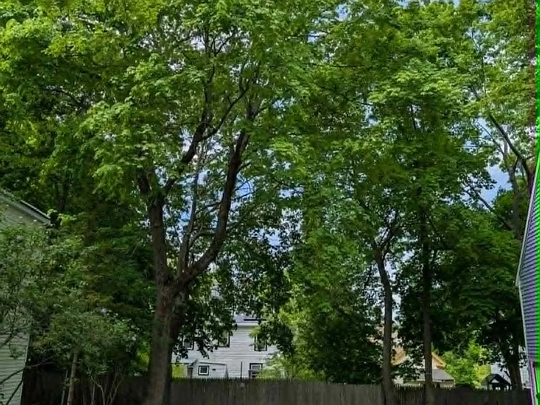 258 Essex St — Photo 32