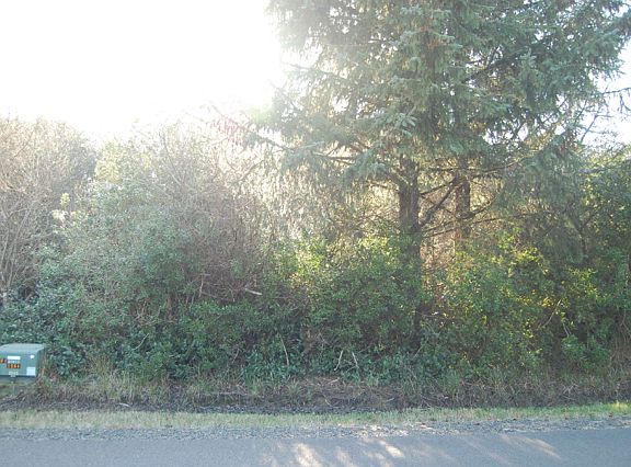 2nd image of 845 Vagabond Ave SW