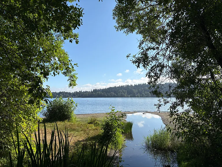 lake sammamish.