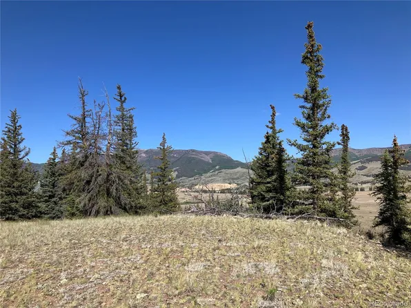 442 Deep Creek Road LOT 9, Creede, CO 81130