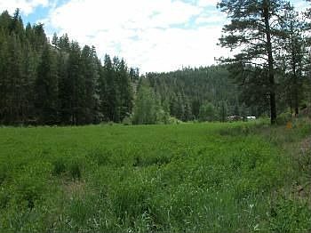 5th image of 273 Benson Creek Dr