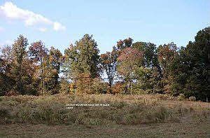 2nd image of 327 S Retreat Rd