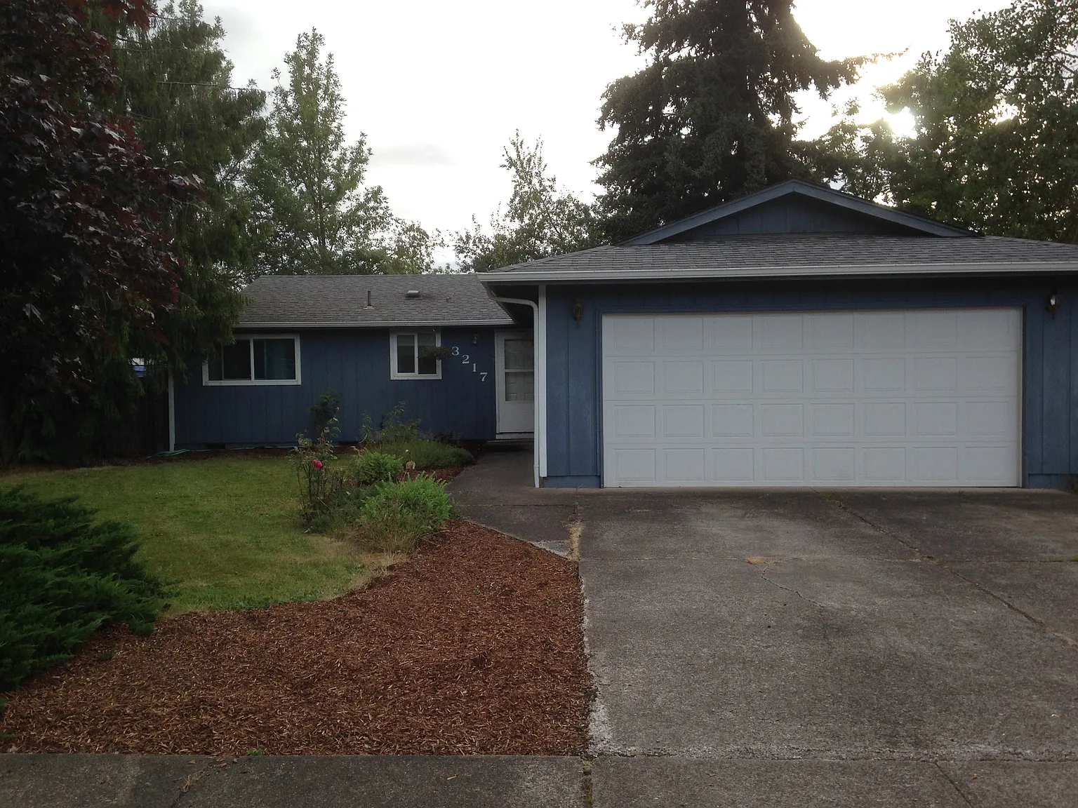 3217 Foxglove St photo 1